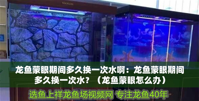 龍魚蒙眼期間多久換一次水啊：龍魚蒙眼期間多久換一次水？（龍魚蒙眼怎么辦）