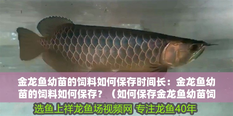 金龍魚幼苗的飼料如何保存時間長：金龍魚幼苗的飼料如何保存？（如何保存金龍魚幼苗飼料）