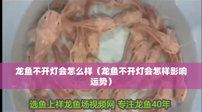 詳細閱讀:龍魚不開燈會怎么樣(龍魚不開燈會怎樣影響運勢) 龍魚不開燈會怎么樣(龍魚不開燈會怎樣影響運勢)