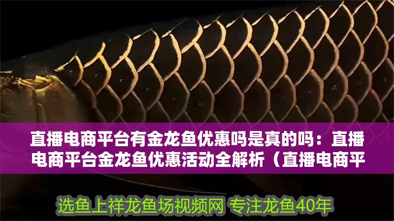 直播電商平臺有金龍魚優惠嗎是真的嗎：直播電商平臺金龍魚優惠活動全解析（直播電商平臺的興起與特點）