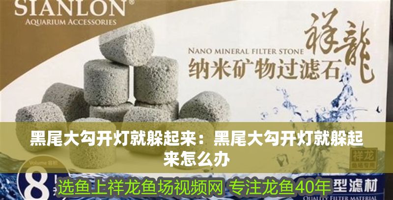 黑尾大勾開燈就躲起來：黑尾大勾開燈就躲起來怎么辦