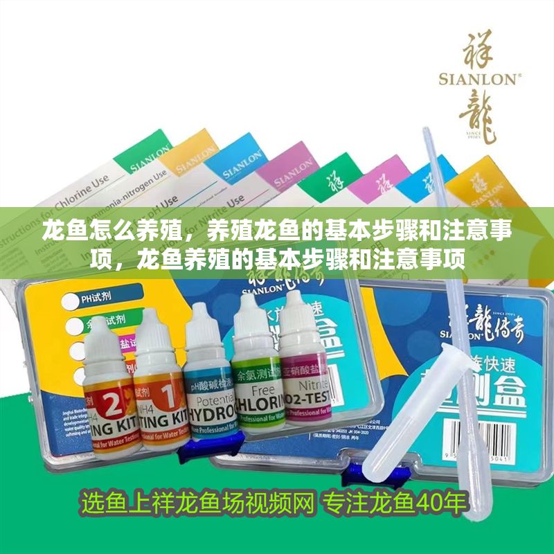 龍魚怎么養殖，養殖龍魚的基本步驟和注意事項，龍魚養殖的基本步驟和注意事項