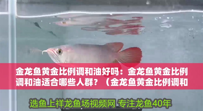 金龍魚黃金比例調(diào)和油好嗎：金龍魚黃金比例調(diào)和油適合哪些人群？（金龍魚黃金比例調(diào)和油是一個既安全又健康又健康的選擇）