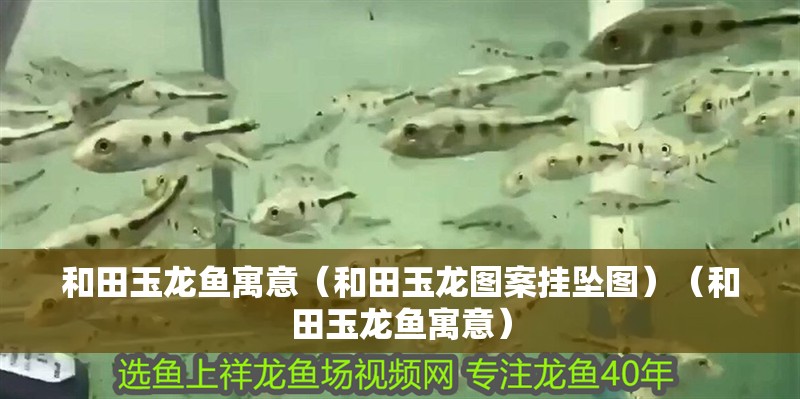 和田玉龍魚寓意（和田玉龍圖案掛墜圖）（和田玉龍魚寓意）