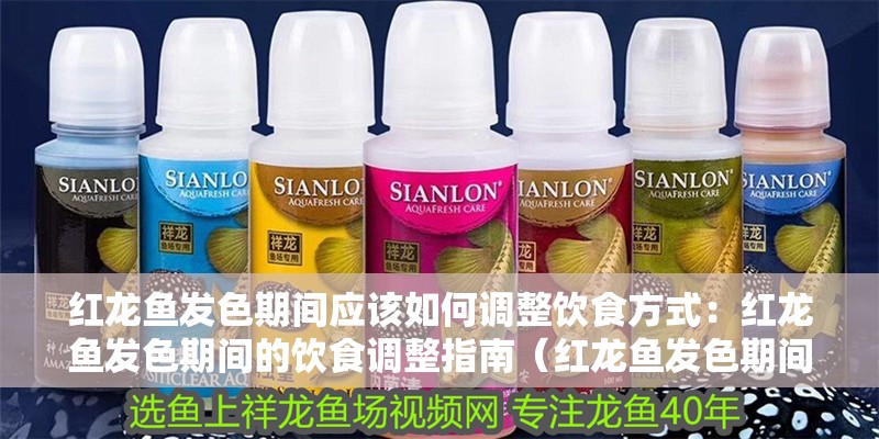 紅龍魚(yú)發(fā)色期間應(yīng)該如何調(diào)整飲食方式：紅龍魚(yú)發(fā)色期間的飲食調(diào)整指南（紅龍魚(yú)發(fā)色期間如何調(diào)整飲食）