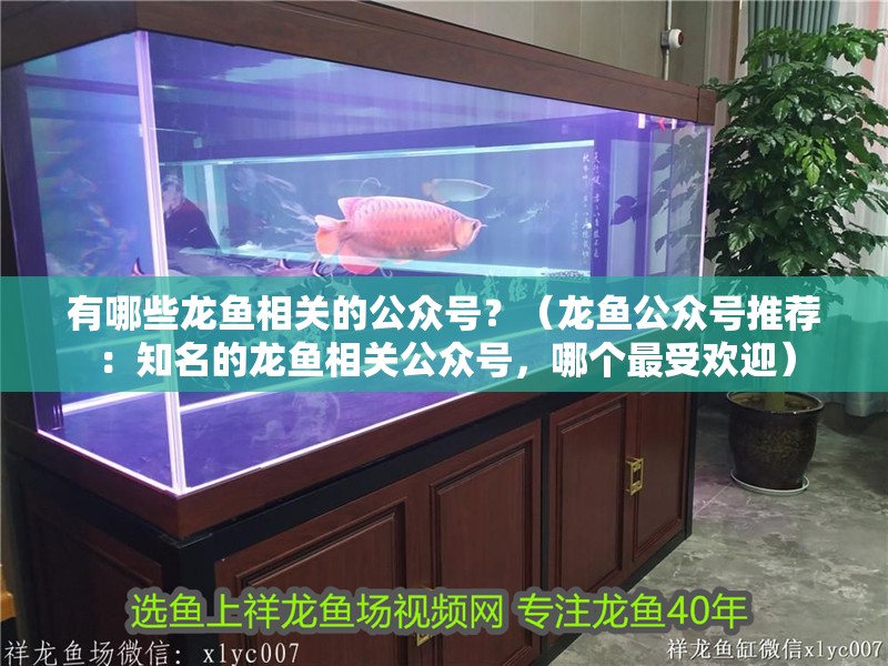 有哪些龍魚相關的公眾號？（龍魚公眾號推薦：知名的龍魚相關公眾號，哪個最受歡迎） 有哪些龍魚相關的公眾號？（龍魚公眾號推薦：知名的龍魚相關公眾號，哪個最受歡迎） 龍魚百科