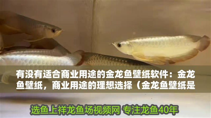 有沒有適合商業(yè)用途的金龍魚壁紙軟件：金龍魚壁紙，商業(yè)用途的理想選擇（金龍魚壁紙是商業(yè)用途的理想選擇）