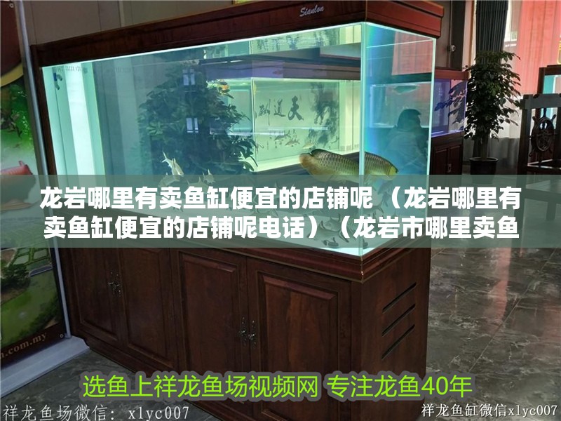 龍巖哪里有賣魚缸便宜的店鋪呢 （龍巖哪里有賣魚缸便宜的店鋪呢電話）（龍巖市哪里賣魚缸便宜）