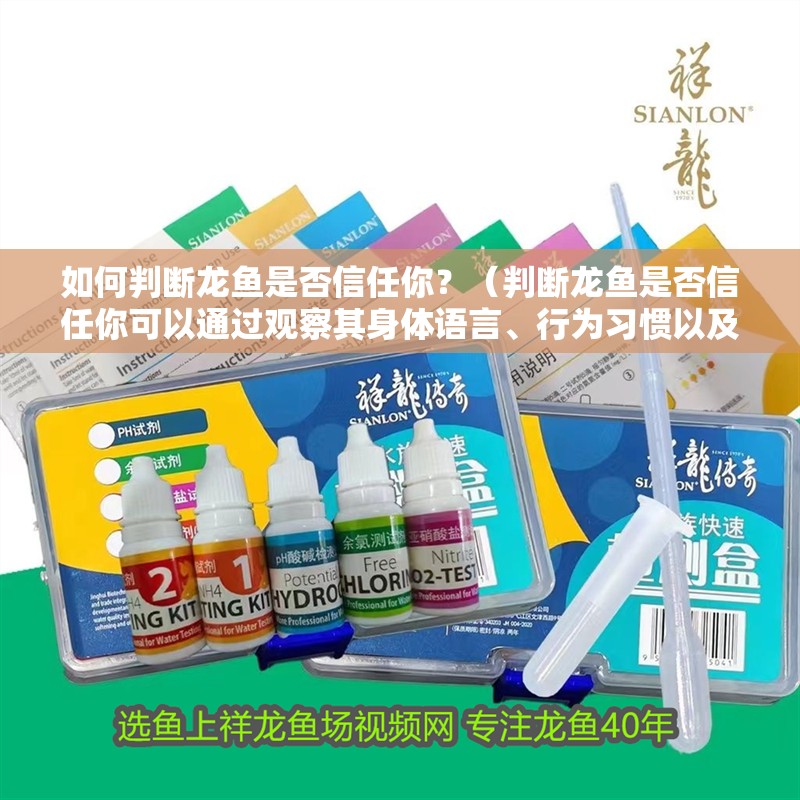 如何判斷龍魚是否信任你？（判斷龍魚是否信任你可以通過觀察其身體語言、行為習慣以及互動）