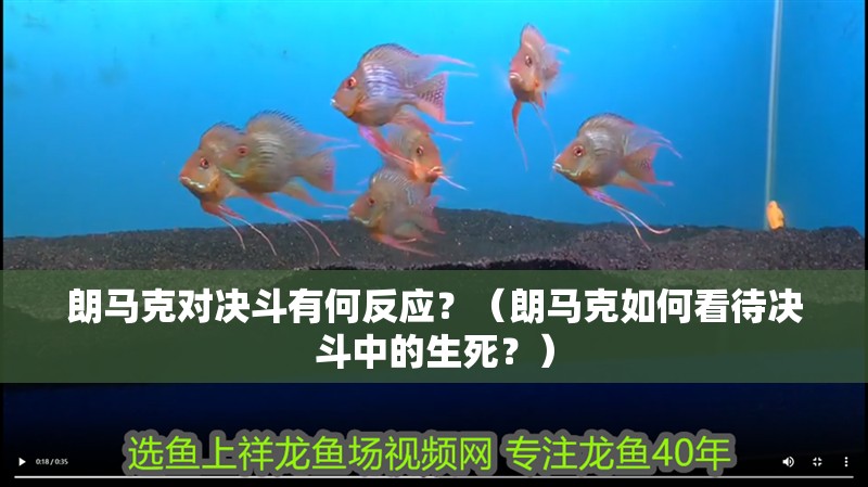 朗馬克對決斗有何反應？（朗馬克如何看待決斗中的生死？）