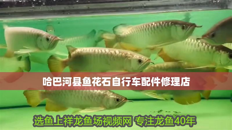 哈巴河縣魚花石自行車配件修理店