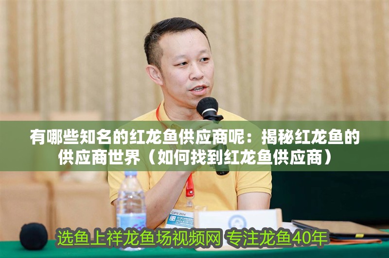 有哪些知名的紅龍魚供應(yīng)商呢：揭秘紅龍魚的供應(yīng)商世界（如何找到紅龍魚供應(yīng)商）