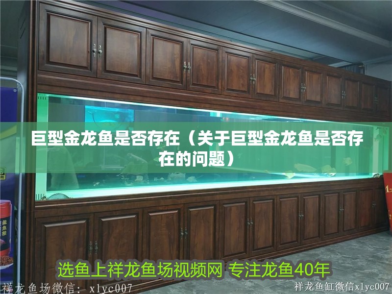 巨型金龍魚是否存在（關于巨型金龍魚是否存在的問題）