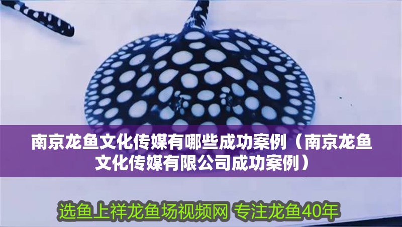 南京龍魚文化傳媒有哪些成功案例（南京龍魚文化傳媒有限公司成功案例）