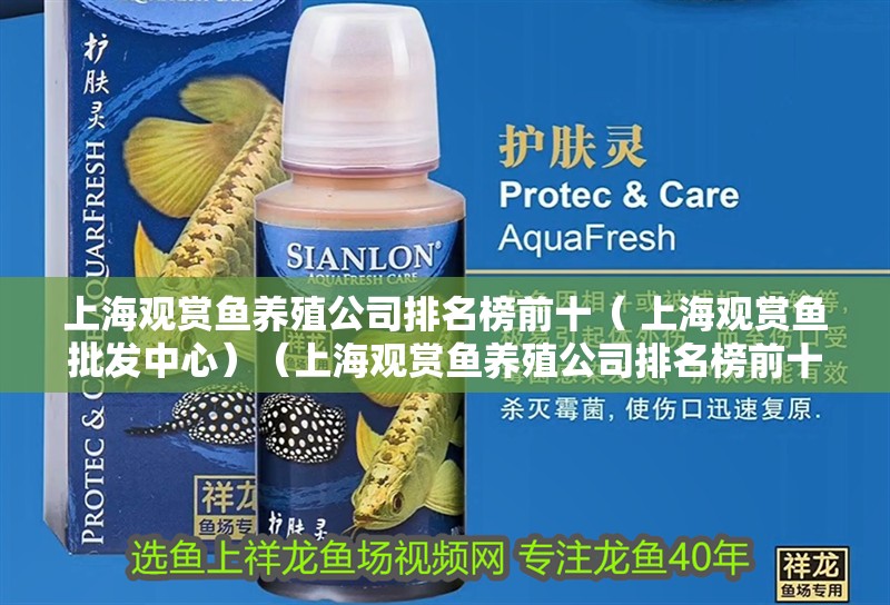 上海觀賞魚養(yǎng)殖公司排名榜前十（ 上海觀賞魚批發(fā)中心）（上海觀賞魚養(yǎng)殖公司排名榜前十）