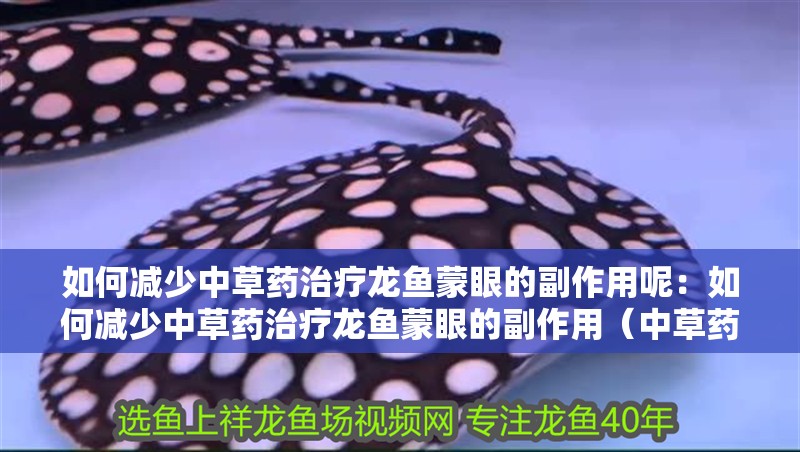 如何減少中草藥治療龍魚蒙眼的副作用呢：如何減少中草藥治療龍魚蒙眼的副作用（中草藥治療龍魚蒙眼的副作用）