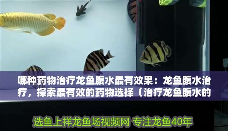 哪種藥物治療龍魚(yú)腹水最有效果：龍魚(yú)腹水治療，探索最有效的藥物選擇（治療龍魚(yú)腹水的方法）