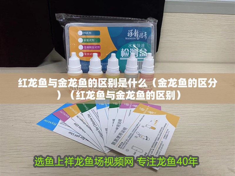 魚缸用增氧泵價格是多少:魚缸增氧機-xtrac增氧機-xtrac增氧機 紅龍魚與金龍魚的區別是什么(金龍魚的區分)(紅龍魚與金龍魚的區別) 觀賞魚百科 紅龍魚與金龍魚的區別是什么(金龍魚的區分)(紅龍魚與金龍魚的區別) 紅龍魚與金龍魚的區別是什么(金龍魚的區分)(紅龍魚與金龍魚的區別) 觀賞魚百科