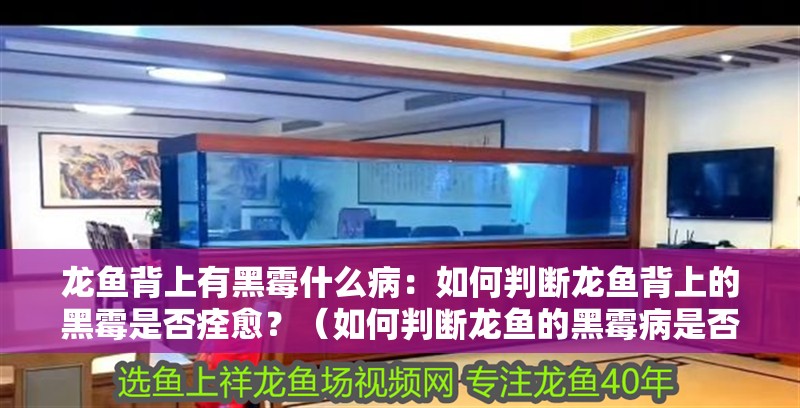 龍魚背上有黑霉什么病：如何判斷龍魚背上的黑霉是否痊愈？（如何判斷龍魚的黑霉病是否痊愈）