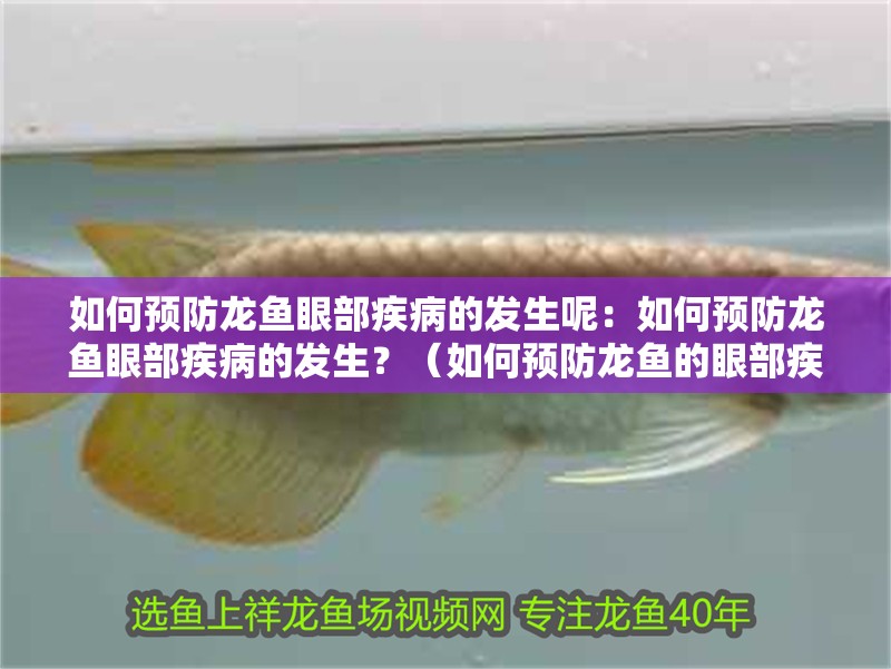 如何預防龍魚眼部疾病的發生呢：如何預防龍魚眼部疾病的發生？（如何預防龍魚的眼部疾病）