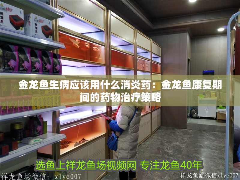 魚缸過濾器選購指南:自制魚缸過濾器魚缸上置過濾器對于養魚愛好者的必備知識 金龍魚生病應該用什么消炎藥:金龍魚康復期間的藥物治療策略 水族問答 金龍魚生病應該用什么消炎藥:金龍魚康復期間的藥物治療策略 金龍魚生病應該用什么消炎藥:金龍魚康復期間的藥物治療策略 水族問答