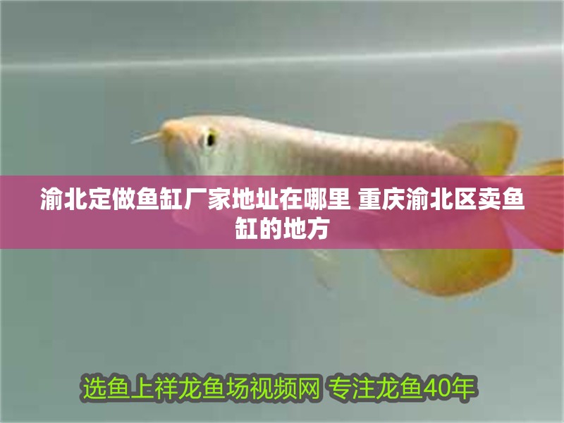 渝北定做魚缸廠家地址在哪里 重慶渝北區賣魚缸的地方