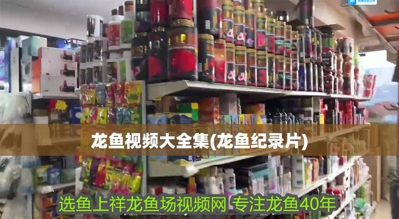 龍魚視頻大全集(龍魚紀錄片)
