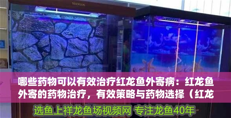 哪些藥物可以有效治療紅龍魚外寄病：紅龍魚外寄的藥物治療，有效策略與藥物選擇（紅龍魚外寄生蟲治療紅龍魚外寄病的藥物主要包括以下幾點）