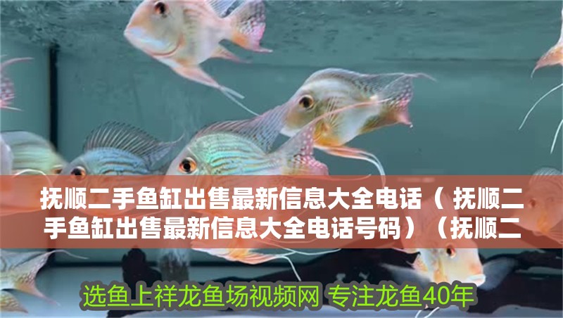 撫順二手魚缸出售最新信息大全電話（ 撫順二手魚缸出售最新信息大全電話號碼）（撫順二手魚缸出售信息大全）