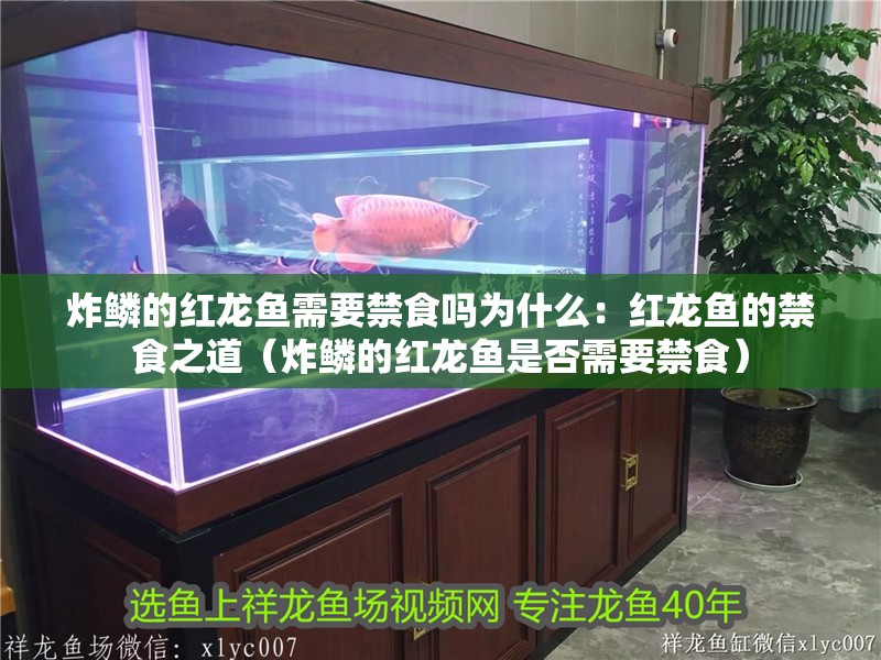 炸鱗的紅龍魚需要禁食嗎為什么：紅龍魚的禁食之道（炸鱗的紅龍魚是否需要禁食）