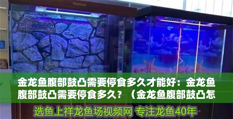 金龍魚腹部鼓凸需要停食多久才能好：金龍魚腹部鼓凸需要停食多久？（金龍魚腹部鼓凸怎么辦）