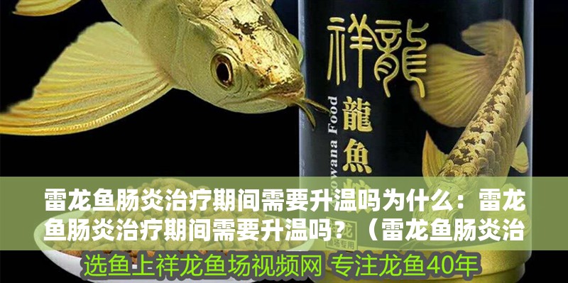 雷龍魚腸炎治療期間需要升溫嗎為什么：雷龍魚腸炎治療期間需要升溫嗎？（雷龍魚腸炎治療期間水溫管理）