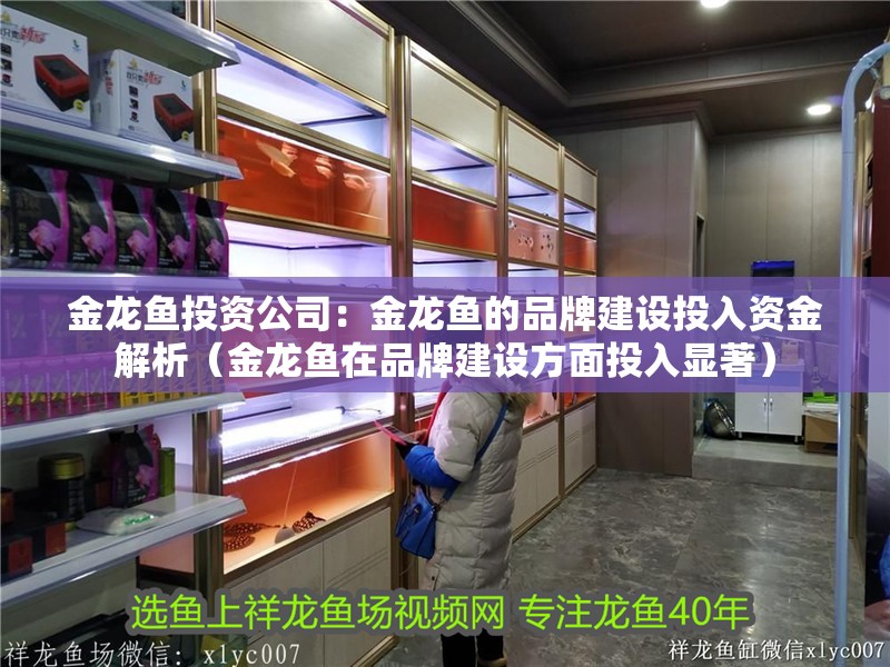 金龍魚投資公司：金龍魚的品牌建設投入資金解析（金龍魚在品牌建設方面投入顯著）
