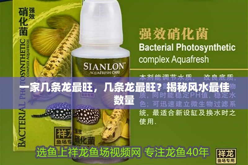 一家?guī)讞l龍最旺，幾條龍最旺？揭秘風(fēng)水最佳數(shù)量