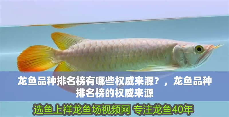 龍魚品種排名榜有哪些權威來源？，龍魚品種排名榜的權威來源
