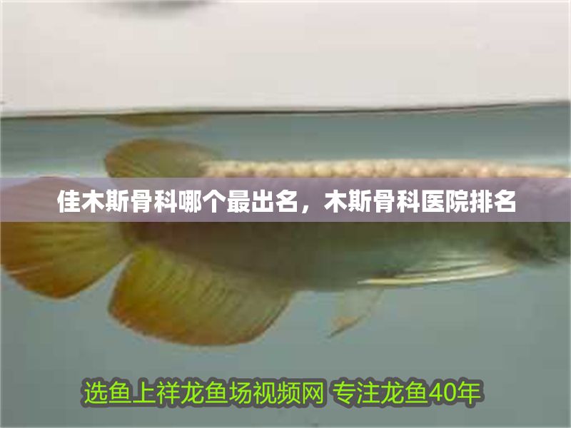 佳木斯骨科哪個最出名，木斯骨科醫院排名 佳木斯骨科哪個最出名，木斯骨科醫院排名 全國水族館企業名錄