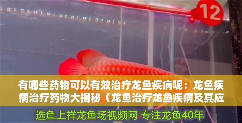 有哪些藥物可以有效治療龍魚疾病呢：龍魚疾病治療藥物大揭秘（龍魚治療龍魚疾病及其應用方法及其應用方法及其應用）