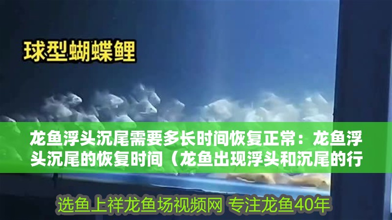 龍魚浮頭沉尾需要多長時間恢復正常：龍魚浮頭沉尾的恢復時間（龍魚出現浮頭和沉尾的行為都是影響龍魚浮頭沉尾的行為）