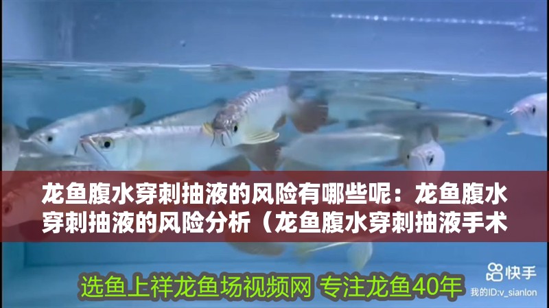 龍魚腹水穿刺抽液的風險有哪些呢：龍魚腹水穿刺抽液的風險分析（龍魚腹水穿刺抽液手術可能會影響龍魚的健康生活和活動）