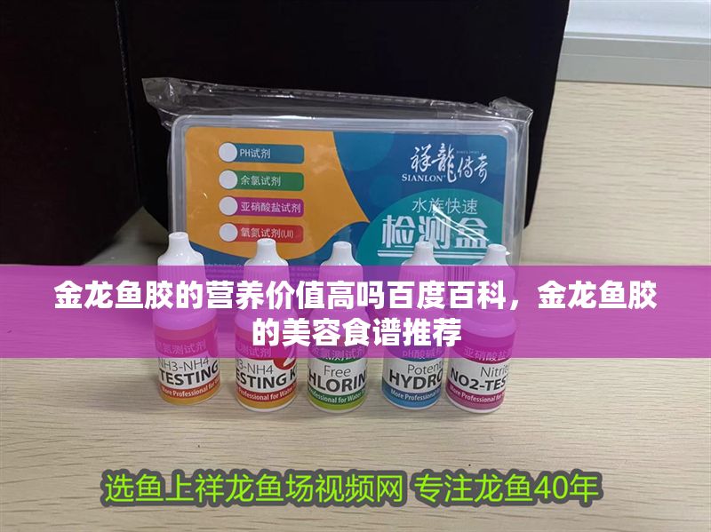 金龍魚膠的營養價值高嗎百度百科，金龍魚膠的美容食譜推薦