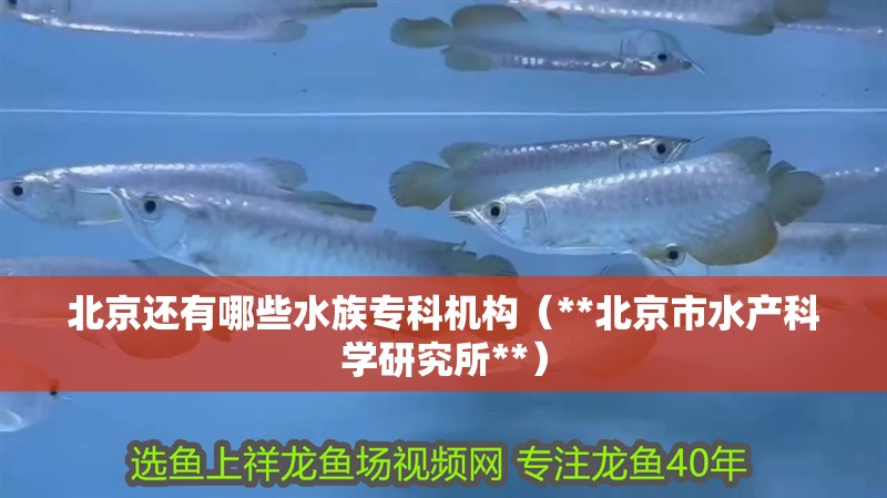 北京還有哪些水族專科機構（**北京市水產科學研究所**）
