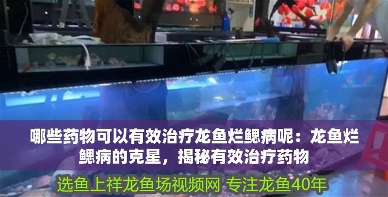 哪些藥物可以有效治療龍魚爛鰓病呢：龍魚爛鰓病的克星，揭秘有效治療藥物