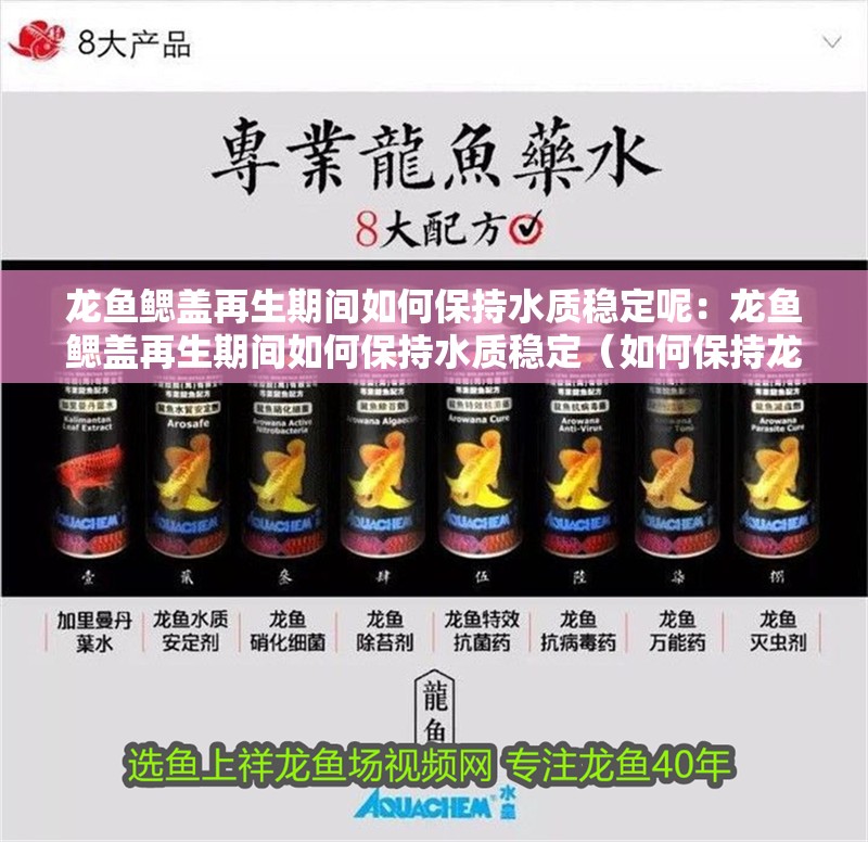 龍魚鰓蓋再生期間如何保持水質穩定呢：龍魚鰓蓋再生期間如何保持水質穩定（如何保持龍魚的鰓蓋再生）
