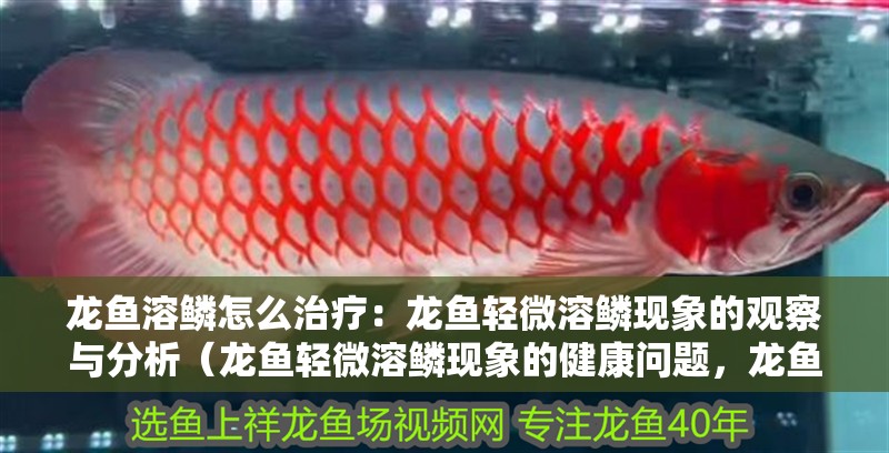 龍魚溶鱗怎么治療：龍魚輕微溶鱗現象的觀察與分析（龍魚輕微溶鱗現象的健康問題，龍魚輕微溶鱗現象需要關注）
