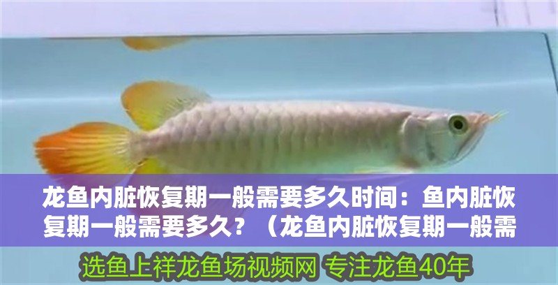 龍魚內臟恢復期一般需要多久時間：魚內臟恢復期一般需要多久？（龍魚內臟恢復期一般需要多久，龍魚內臟恢復期需要多久）