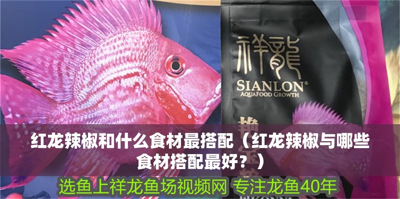 紅龍辣椒和什么食材最搭配（紅龍辣椒與哪些食材搭配最好？）