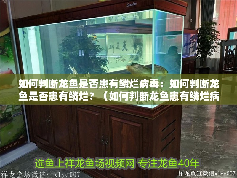 如何判斷龍魚是否患有鱗爛病毒：如何判斷龍魚是否患有鱗爛？（如何判斷龍魚患有鱗爛病毒） 如何判斷龍魚是否患有鱗爛病毒：如何判斷龍魚是否患有鱗爛？（如何判斷龍魚患有鱗爛病毒） 水族問答