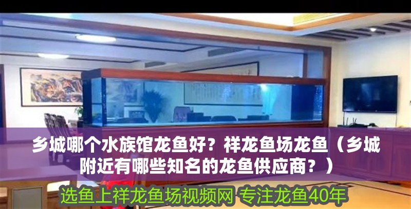 魚缸用增氧泵價格是多少:魚缸增氧機-xtrac增氧機-xtrac增氧機 鄉(xiāng)城哪個水族館龍魚好?祥龍魚場龍魚(鄉(xiāng)城附近有哪些知名的龍魚供應商?) 龍魚百科 鄉(xiāng)城哪個水族館龍魚好?祥龍魚場龍魚(鄉(xiāng)城附近有哪些知名的龍魚供應商?) 鄉(xiāng)城哪個水族館龍魚好?祥龍魚場龍魚(鄉(xiāng)城附近有哪些知名的龍魚供應商?) 龍魚百科