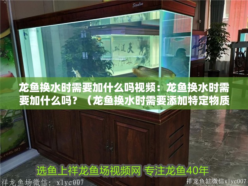 龍魚換水時需要加什么嗎視頻：龍魚換水時需要加什么嗎？（龍魚換水時需要添加特定物質(zhì)以及如何正確進(jìn)行換水操作）