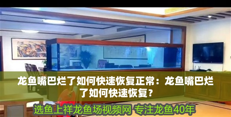 龍魚嘴巴爛了如何快速恢復(fù)正常：龍魚嘴巴爛了如何快速恢復(fù)？